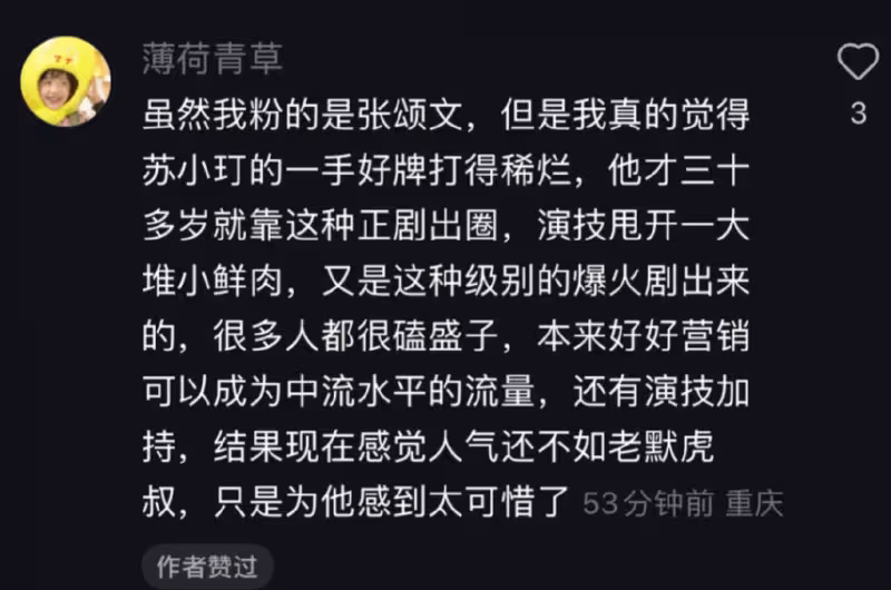 「高啟盛」蘇小玎，走紅花了16年時間，而自毀卻只用1個月