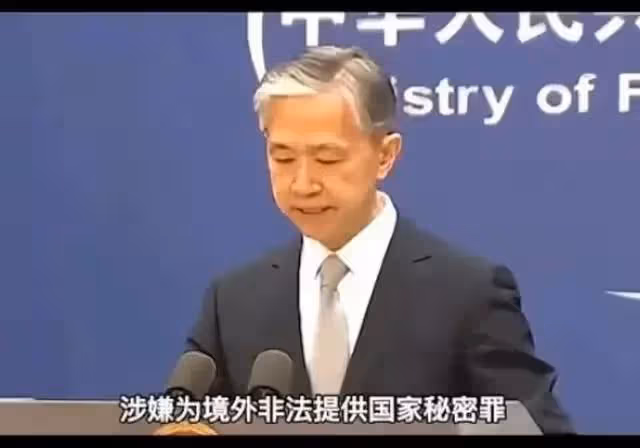 央視美女主持人竟然是美澳間諜,潛伏中國20年,竊取機密文件無數