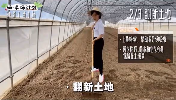 孫儷化身農民，承包大棚播種育苗翻土親力親為，獲農民網友點贊