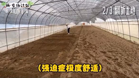 孫儷化身農民，承包大棚播種育苗翻土親力親為，獲農民網友點贊