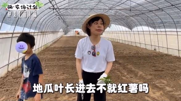 孫儷化身農民，承包大棚播種育苗翻土親力親為，獲農民網友點贊