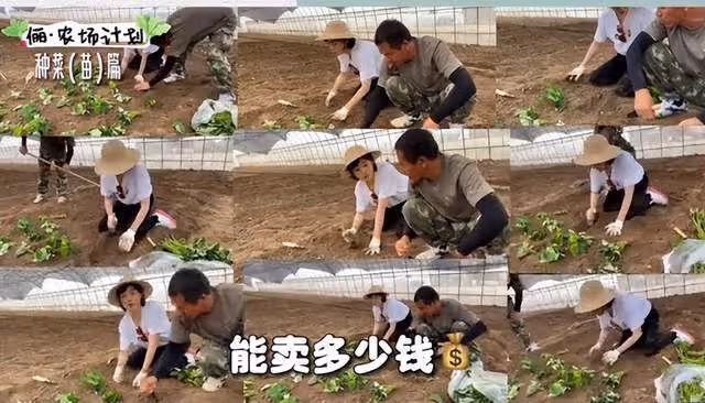 孫儷化身農民，承包大棚播種育苗翻土親力親為，獲農民網友點贊