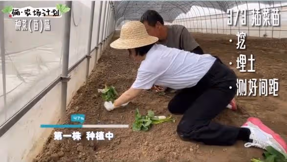 孫儷化身農民，承包大棚播種育苗翻土親力親為，獲農民網友點贊