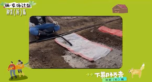 孫儷化身農民，承包大棚播種育苗翻土親力親為，獲農民網友點贊