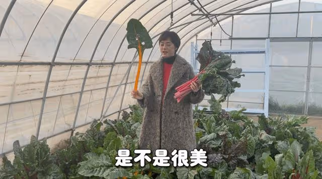 孫儷化身農民,承包大棚播種育苗翻土親力親為,獲農民網友點贊