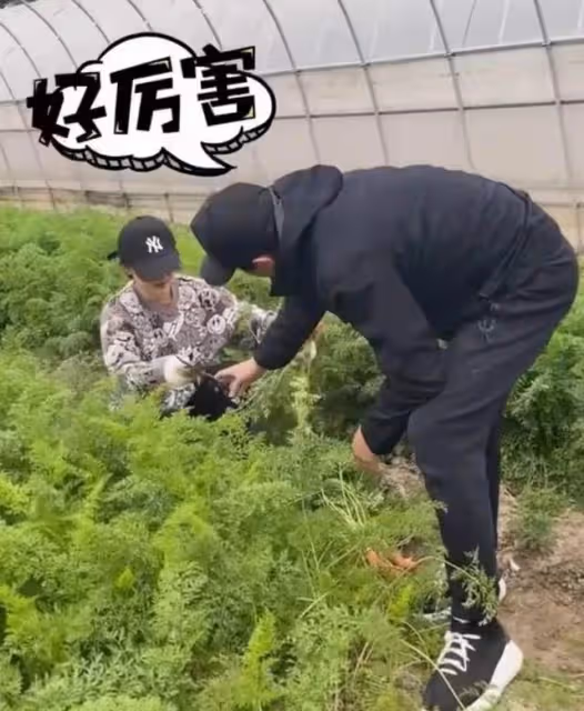 孫儷化身農民,承包大棚播種育苗翻土親力親為,獲農民網友點贊