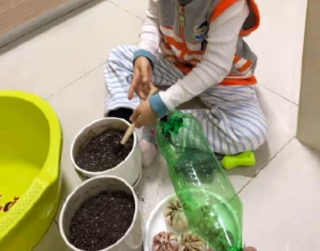 孫儷化身農民,承包大棚播種育苗翻土親力親為,獲農民網友點贊
