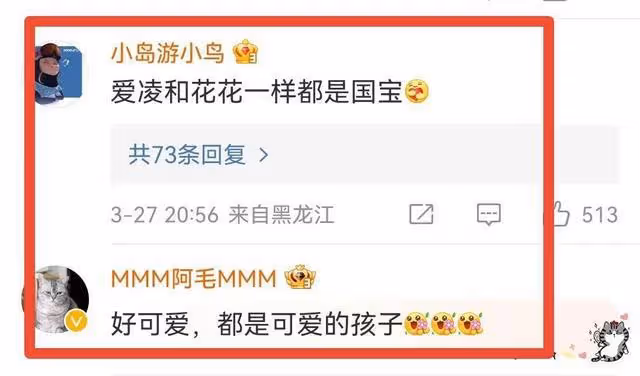 微博之夜,谷愛凌認識了熊貓界頂流花花,全程笑得合不攏嘴