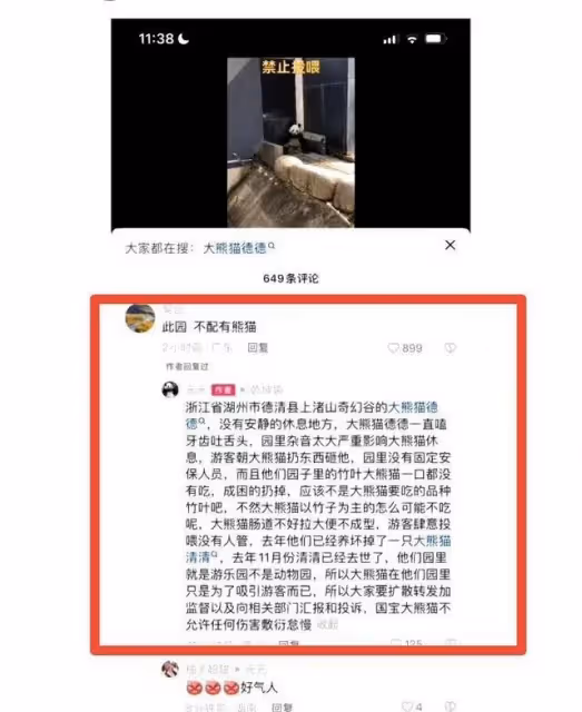 微博之夜，谷愛凌認識了熊貓界頂流花花，全程笑得合不攏嘴