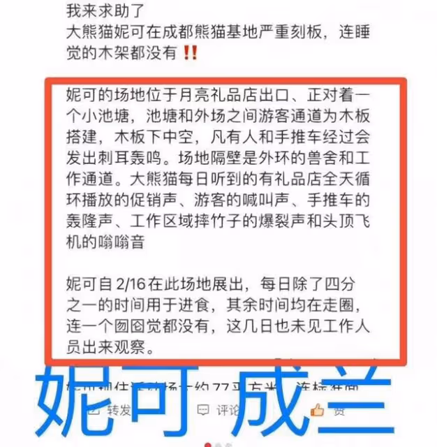 微博之夜，谷愛凌認識了熊貓界頂流花花，全程笑得合不攏嘴