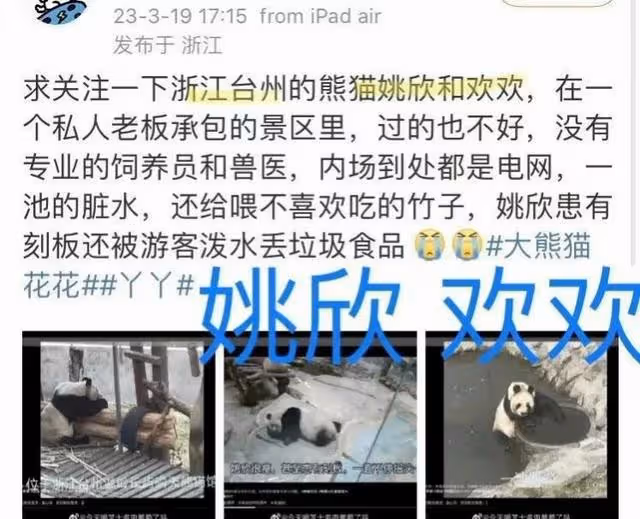 微博之夜，谷愛凌認識了熊貓界頂流花花，全程笑得合不攏嘴