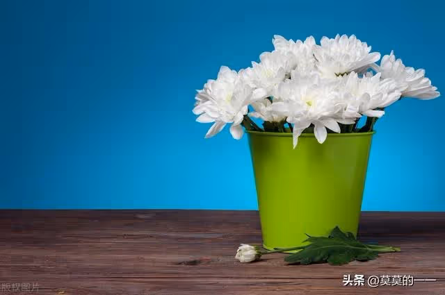 為救患病公公,婆婆要兒媳回娘家借10萬元,兒媳:先賣你的房再說