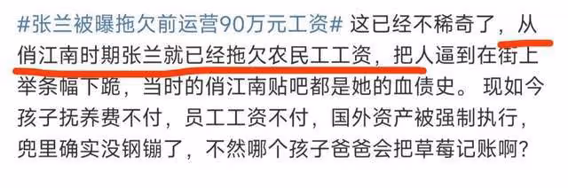 張蘭被曝拖欠90萬工資,疑另有隱情,涉事員工曾偷摸賺外快被抓包