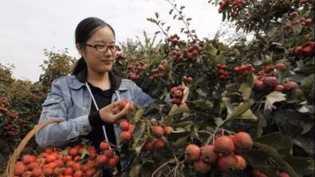 回農村老家 吃飽喝足以後 我幫婆婆洗碗 婆婆一句話讓我傻眼了