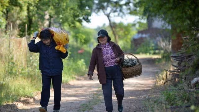 國慶回鄉給婆婆3000 行車返程途中接到婆婆電話 我哭成淚人