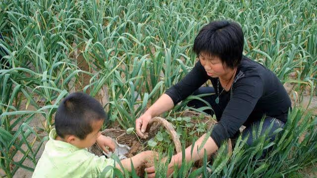 妯娌小學文化 我看不起她 我小產時她送來一鍋湯 我哭成淚人