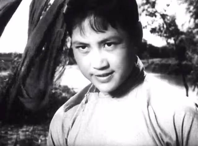 同樣演「脈脈含情」,把王曉棠、王丹鳳和楊麗坤放一起看,差別在哪兒?