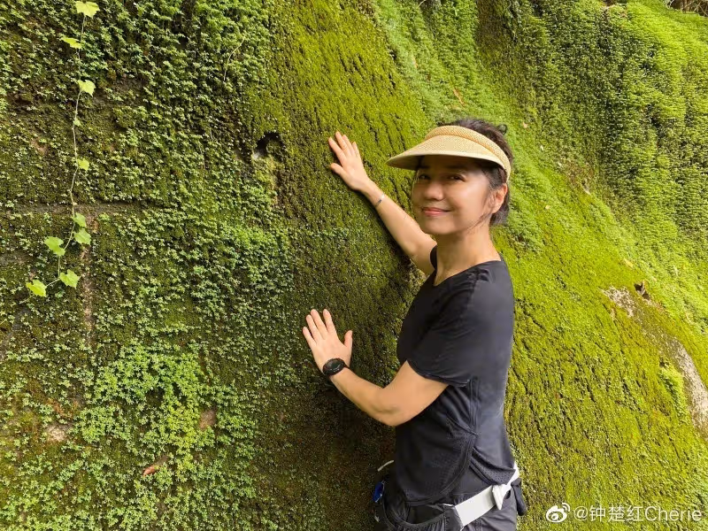 息影31年!一代女神喪夫後「獨居香港清幽生活」 「悄悄現蹤台北」大嗑火鍋模樣超凍齡