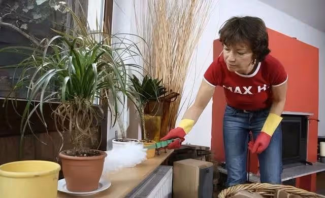 在兒子家養老,頓頓喝雞湯,一個月胖了二十斤,我回了鄉下老家