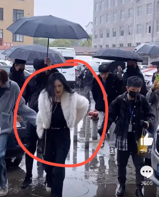 謝娜急復出?接連加盟《萌探》和《浪姐》,《快本》5人現狀如何