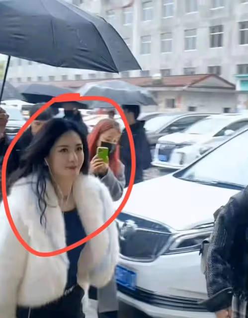 謝娜急復出?接連加盟《萌探》和《浪姐》,《快本》5人現狀如何