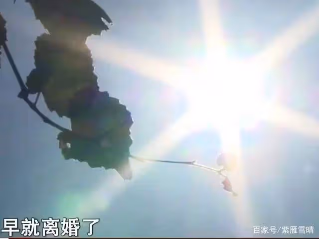 妻子「懷孕8個月被打傷」娘家人找上門　丈夫心冷「受不了她的行爲」：寧願單身都不要她