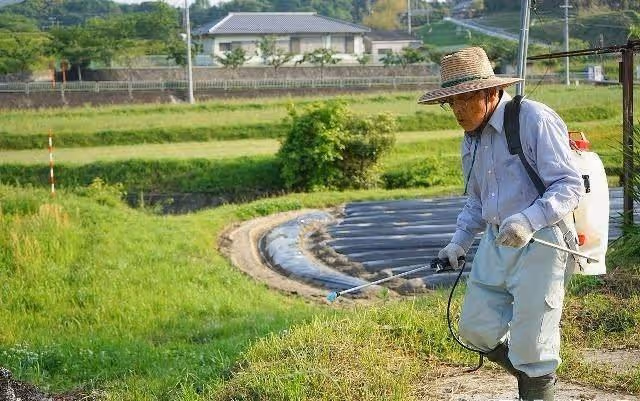 我生病住院三個月 上門女婿瘦了一圈 出院後我狠心把他趕出家門