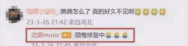 44歲沈騰疑病倒出國求醫!病情嚴重無法工作,脖子粗大引粉絲擔憂