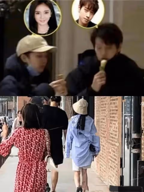 楊冪疑似回應魏大勛秦嵐戀情,稱自己享受單身,忙於工作戀愛勿擾