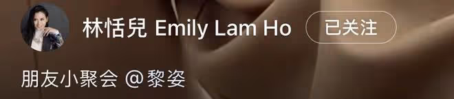 巨頭企業總裁夫人宴請闊太!黎姿坐角落,伏明霞婚變風波後首露面