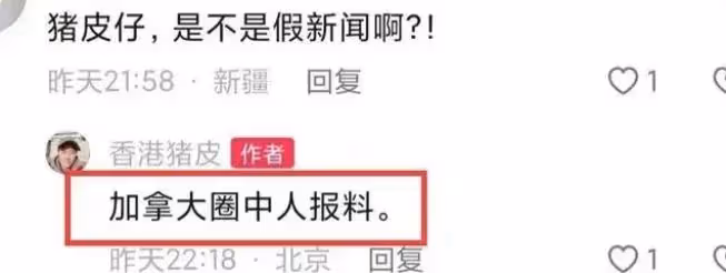 梁洛施王傑加拿大傳婚訊，經紀人終於回應，透露女方目前還是單身