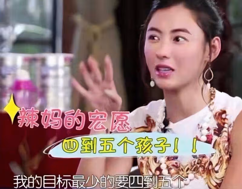 張柏芝疑被曝懷四胎？帶3娃嫁圈內人，謝賢不甘心疑搶孫兒撫養權