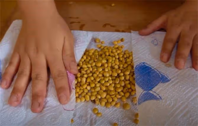 牛奶神仙吃法，嫩到離手還能抖3抖，滑嫩香甜入口即化，一看就會