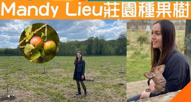 劉碧麗不受洗米華入獄影響，在價值5億的莊園內開展生態活動