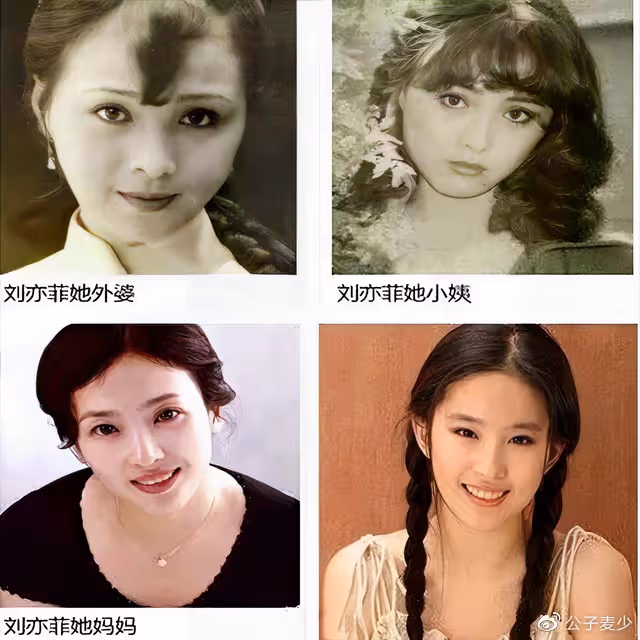 劉亦菲媽媽:兩婚兩離不後悔,至今單身,長得比女兒漂亮太多