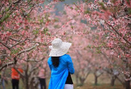 婆婆大壽我買了條金項鍊,她直接甩進垃圾桶,給我張存摺我懵了