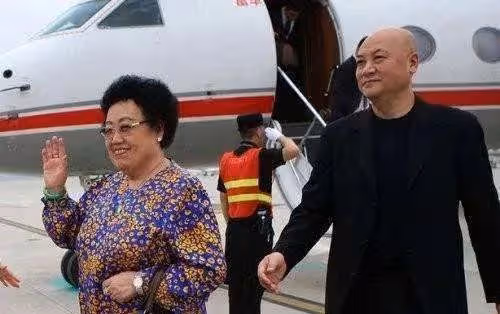 陳麗華:比利時買了12幢別墅,均以高價賣出,賺了錢回到內地投資
