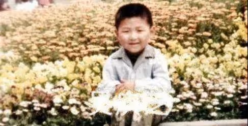 48歲陳羽凡罕見露面，開三百萬的豪車去聚會，身材發福生活很瀟灑