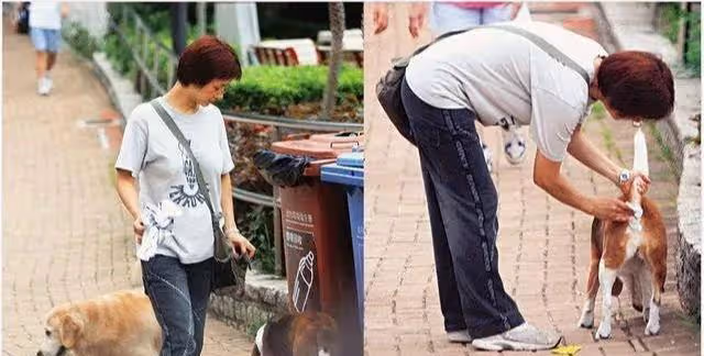 56歲葉子楣與友合照被曝,曾為胸投保200萬,稱拿下星爺只需一天