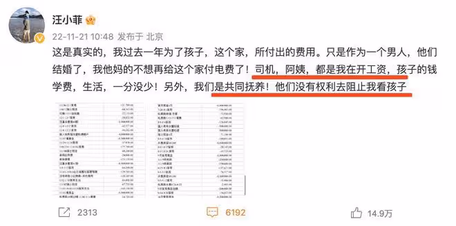 體面！S媽受訪處處維護汪小菲，自稱是受大S之託帶孩子們見汪小菲