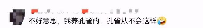 楊麗萍引爭議!孔雀舞男女大尺度貼身被批不雅,當事人回應遭吐槽