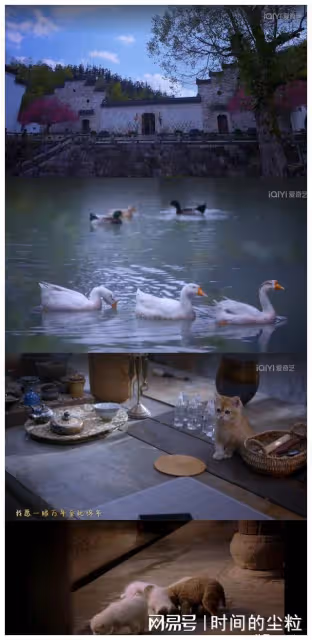 先婚後愛,雙向救贖,《最食人間煙火色》娓娓道來的治癒系甜劇!