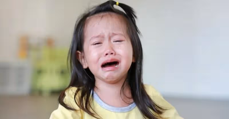 八歲的侄子吼我女兒：家裡東西都是我的，你爸的家產以後也是我的