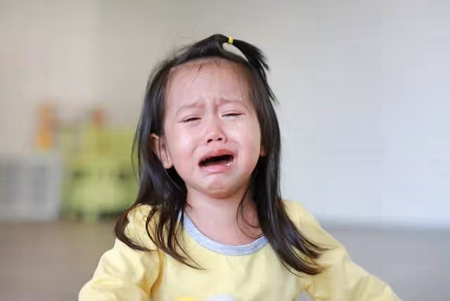 八歲的侄子吼我女兒:家裡東西都是我的,你爸的家產以後也是我的