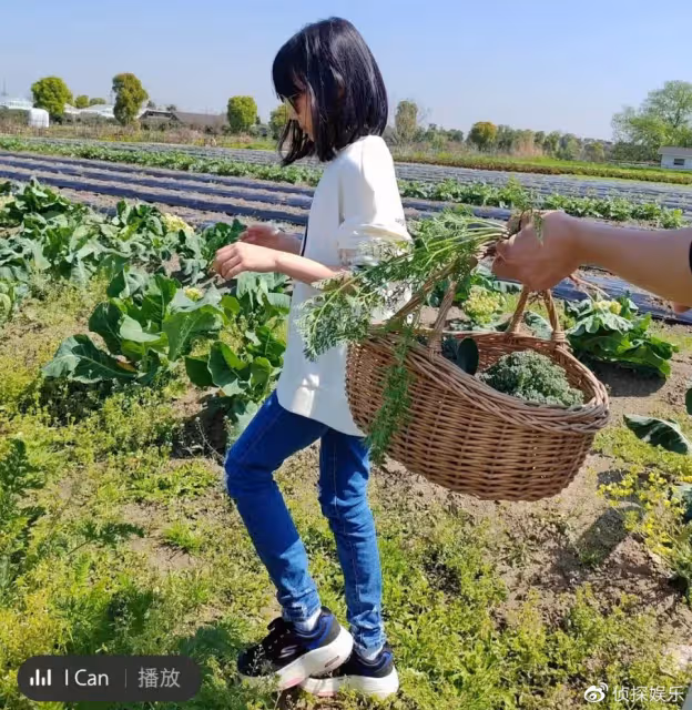 陸毅鮑蕾帶倆女兒農場玩耍,貝兒小葉子身高猛躥,同款小長腿搶鏡