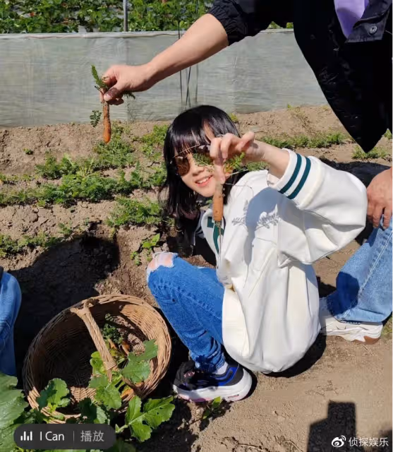 陸毅鮑蕾帶倆女兒農場玩耍,貝兒小葉子身高猛躥,同款小長腿搶鏡
