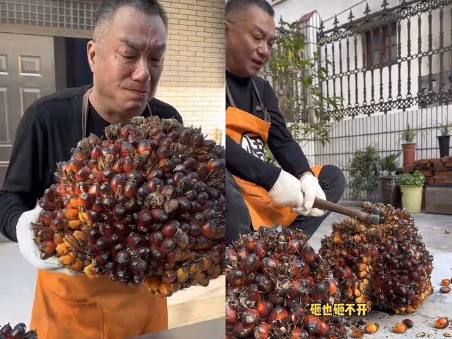 喬任梁去世6年,父親生病令人擔憂,清明無法為兒子掃墓倍感內疚