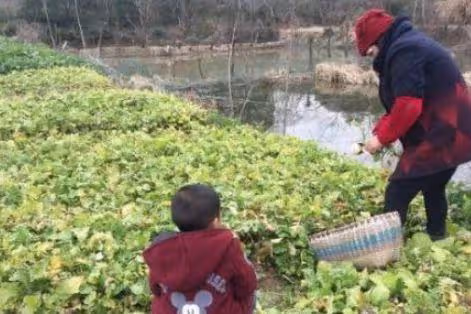 我買補品給婆婆，她說我亂花錢，我拿到廚房，打開冰箱愣住了