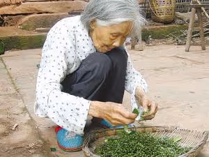 老兩口把房子賣了來找兒子，看到兒媳的家人都在，他們愣住了