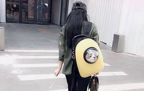 帶女友見父母,母親看到女友提的禮物,要我們分手,我的話媽愣了